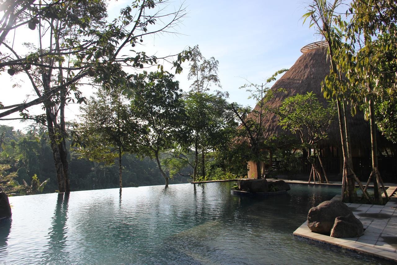 Tejaprana Resort & Spa Ubud Eksteriør bilde The resort's swimming pool